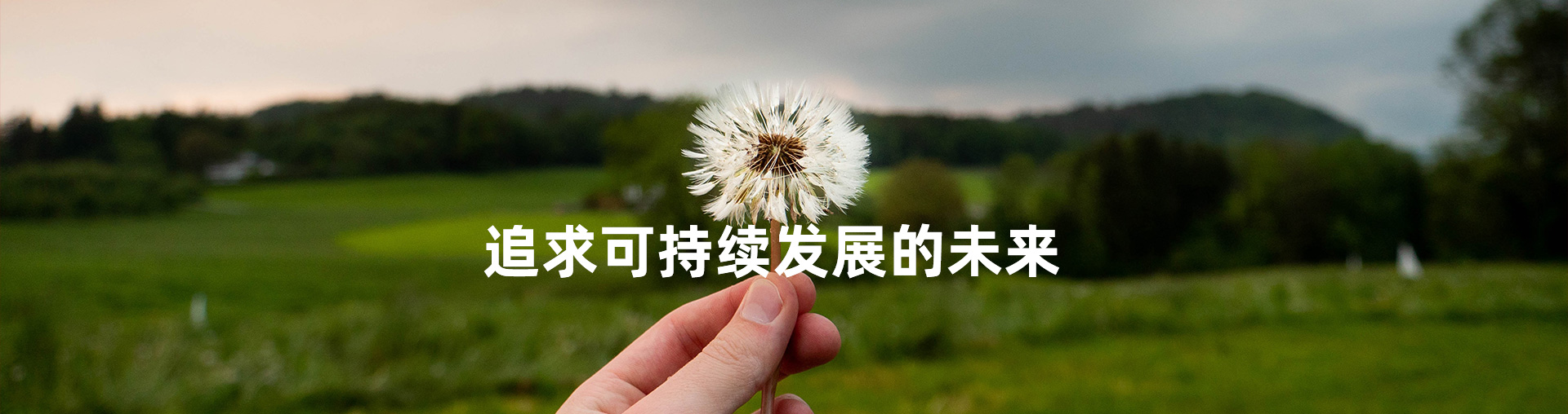 社會責任